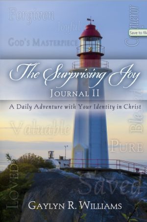image of Joy Devotional Journal 2 by Gaylyn R. Williams