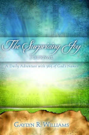 image of Devotional Journal I by Gaylyn R. Williams