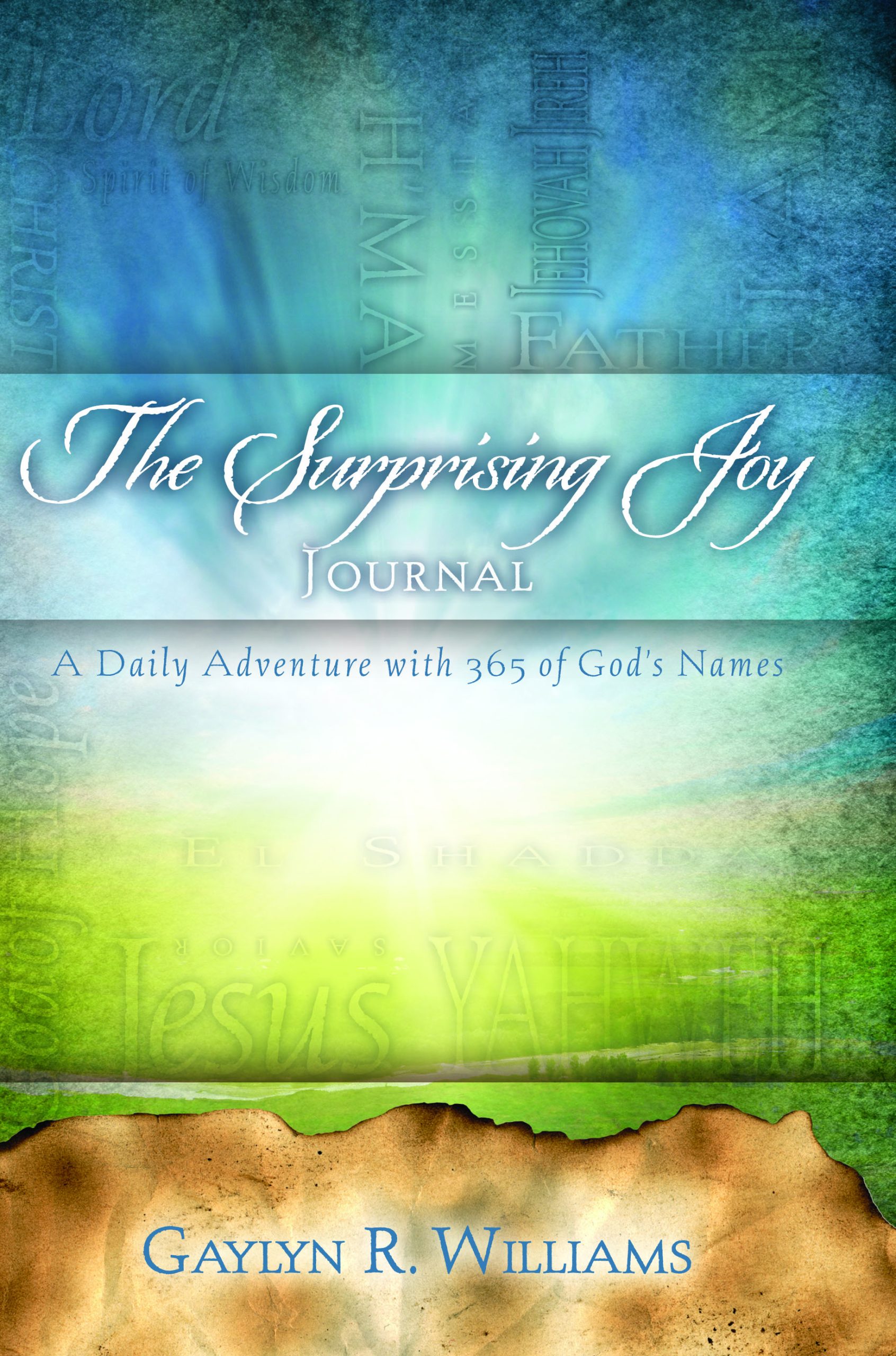 image of Devotional Journal I by Gaylyn R. Williams