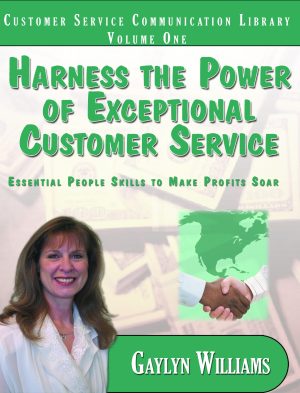 Harness the Power of Exceptional Customer Service