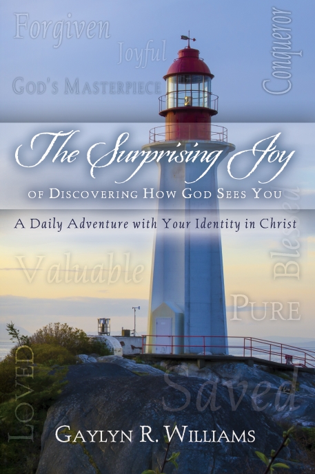 The Surprising Joy of Discovering How God Sees You book cover